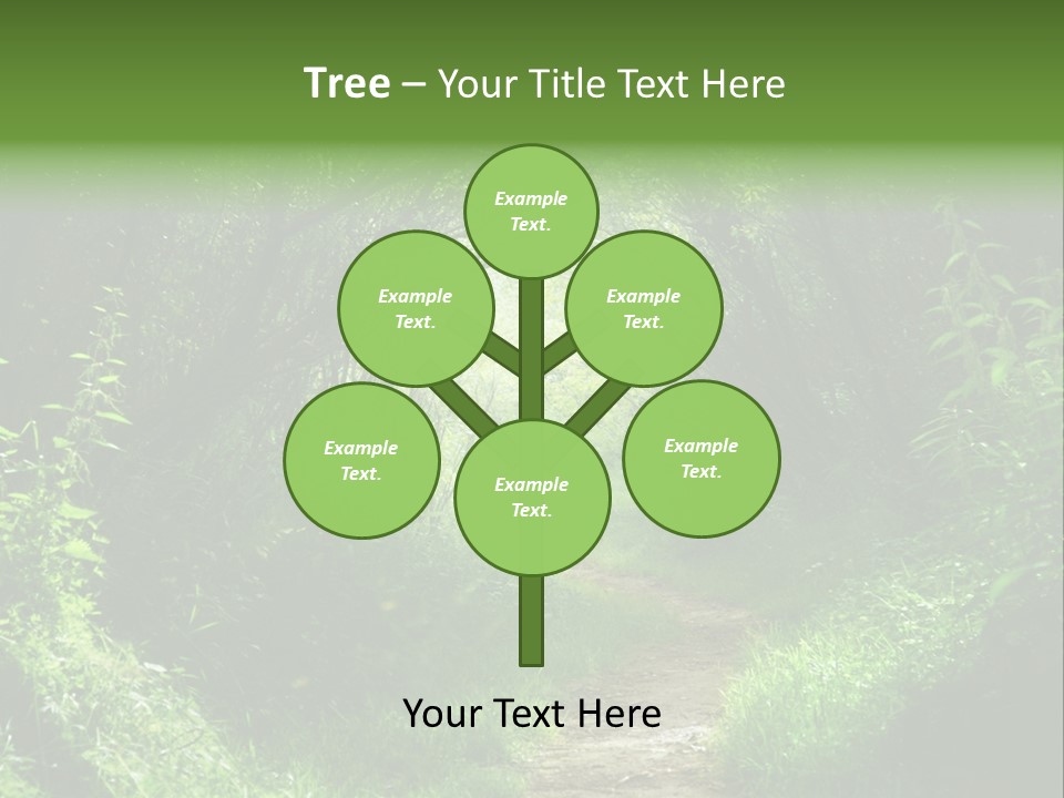 Lifestyle Sea Ocean PowerPoint Template