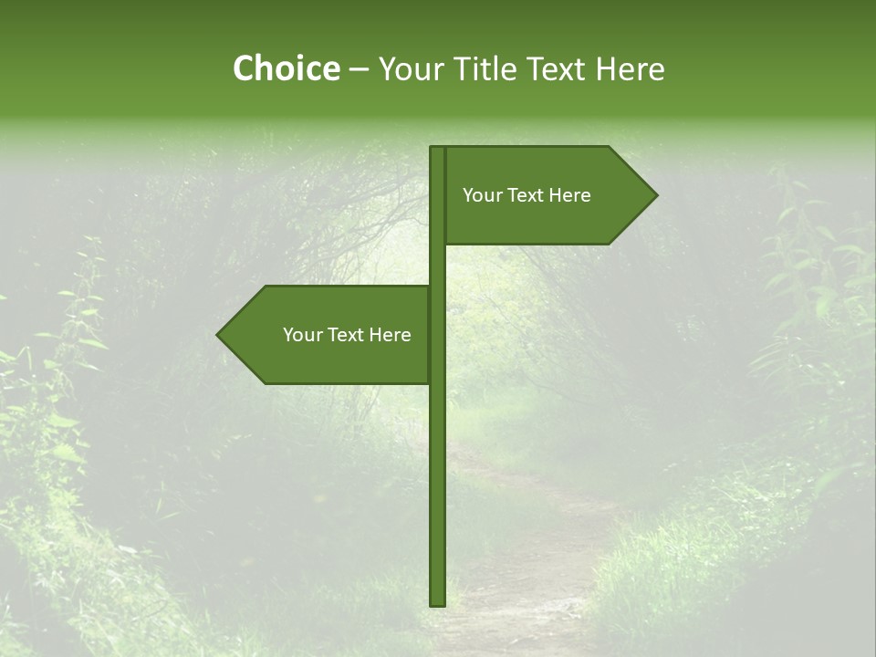 Lifestyle Sea Ocean PowerPoint Template