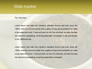 Ocean Senior Caucasian PowerPoint Template