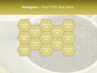 Ocean Senior Caucasian PowerPoint Template