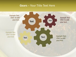 Ocean Senior Caucasian PowerPoint Template