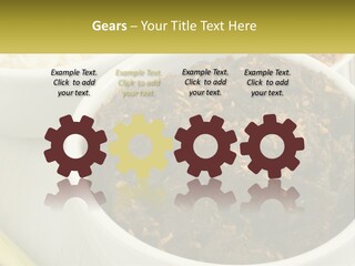 Ocean Senior Caucasian PowerPoint Template