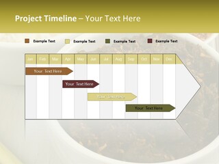 Ocean Senior Caucasian PowerPoint Template