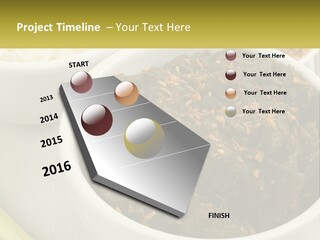 Ocean Senior Caucasian PowerPoint Template