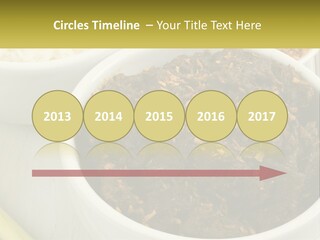 Ocean Senior Caucasian PowerPoint Template