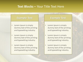 Ocean Senior Caucasian PowerPoint Template