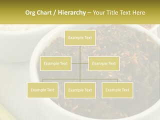 Ocean Senior Caucasian PowerPoint Template