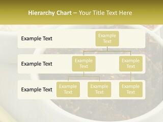 Ocean Senior Caucasian PowerPoint Template