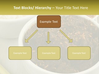 Ocean Senior Caucasian PowerPoint Template