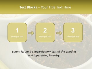 Ocean Senior Caucasian PowerPoint Template