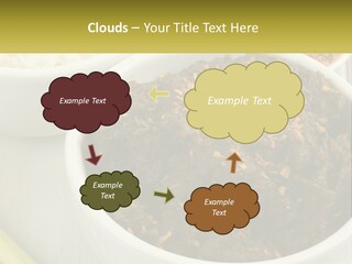 Ocean Senior Caucasian PowerPoint Template