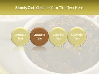 Ocean Senior Caucasian PowerPoint Template