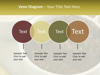 Ocean Senior Caucasian PowerPoint Template