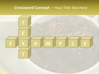 Ocean Senior Caucasian PowerPoint Template