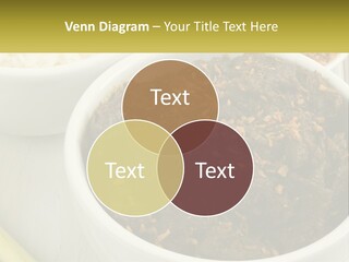 Ocean Senior Caucasian PowerPoint Template