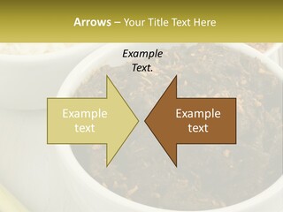 Ocean Senior Caucasian PowerPoint Template