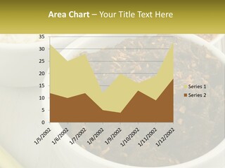 Ocean Senior Caucasian PowerPoint Template