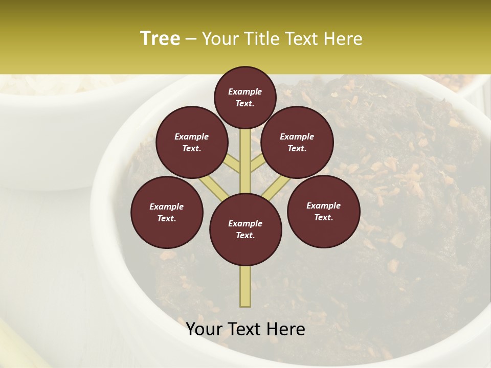 Ocean Senior Caucasian PowerPoint Template