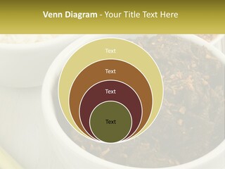 Ocean Senior Caucasian PowerPoint Template