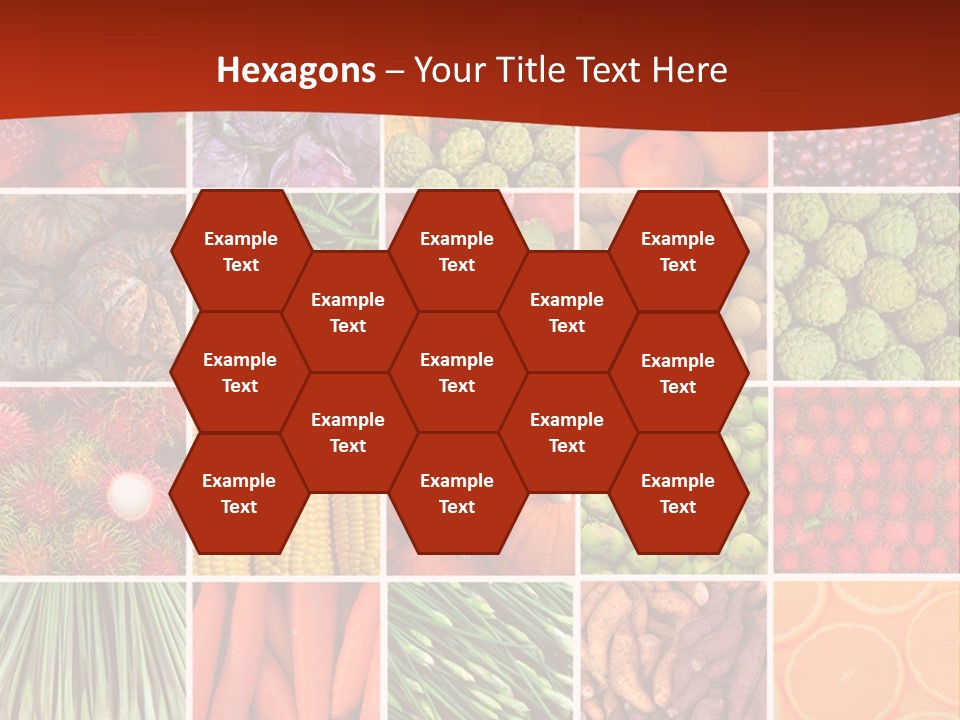 Life Ocean Water PowerPoint Template