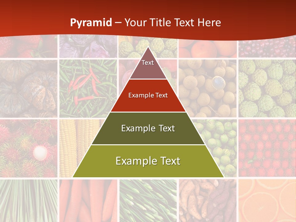 Life Ocean Water PowerPoint Template