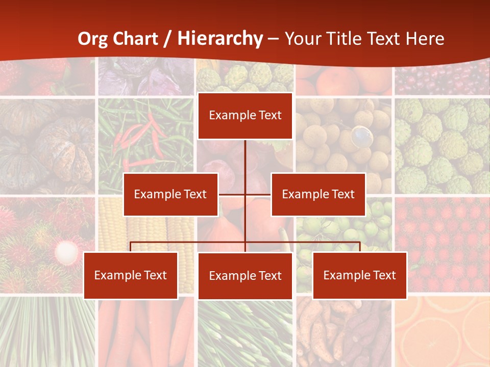 Life Ocean Water PowerPoint Template