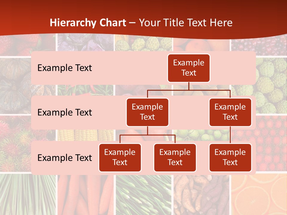 Life Ocean Water PowerPoint Template