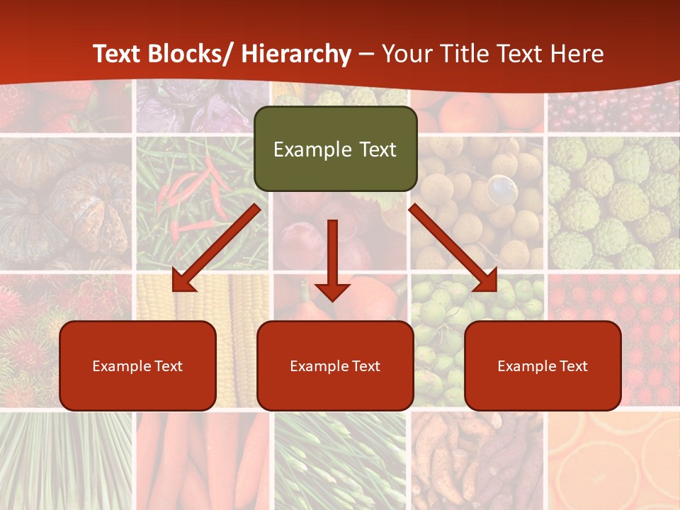 Life Ocean Water PowerPoint Template