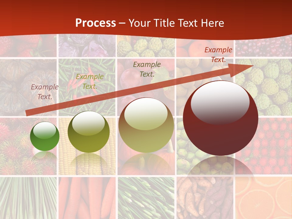 Life Ocean Water PowerPoint Template