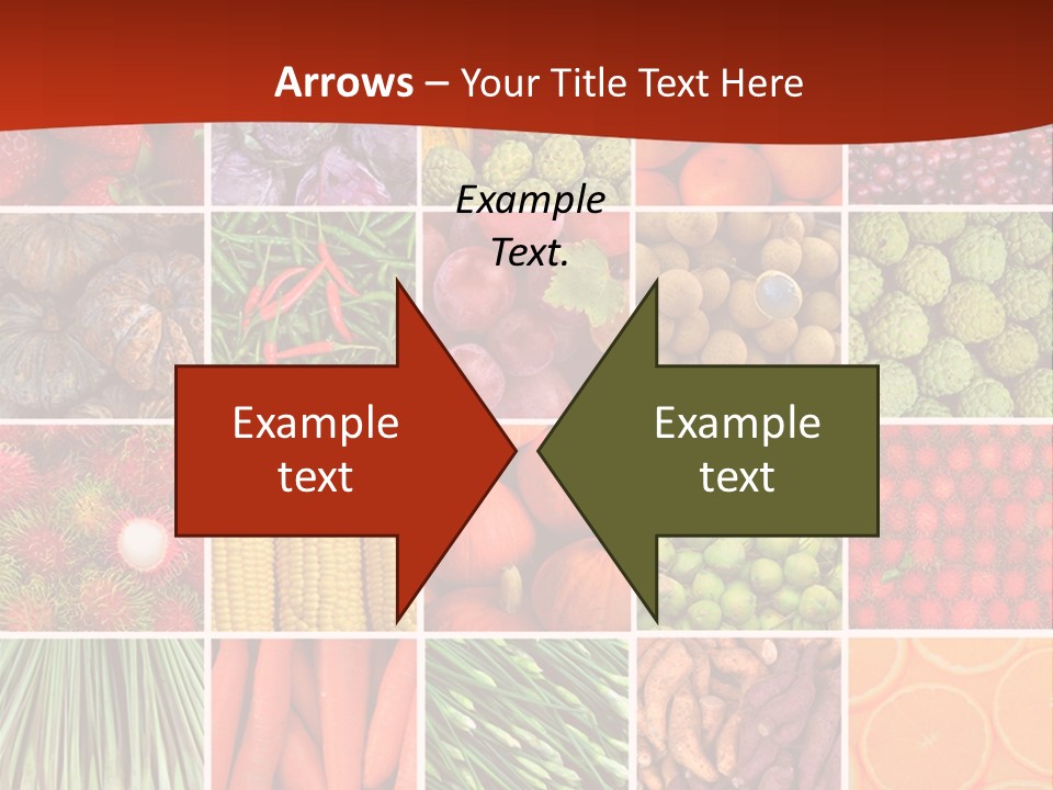 Life Ocean Water PowerPoint Template