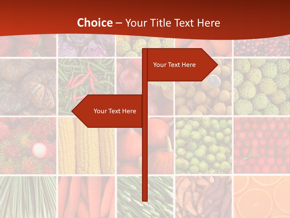 Life Ocean Water PowerPoint Template