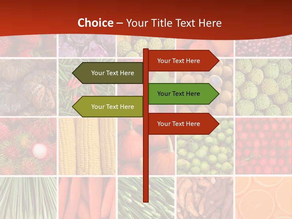 Life Ocean Water PowerPoint Template