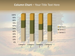 Peaceful Wellness Coast PowerPoint Template