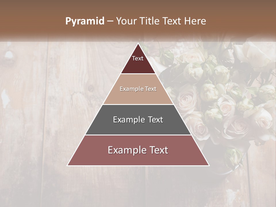 Sea Coastal Single PowerPoint Template