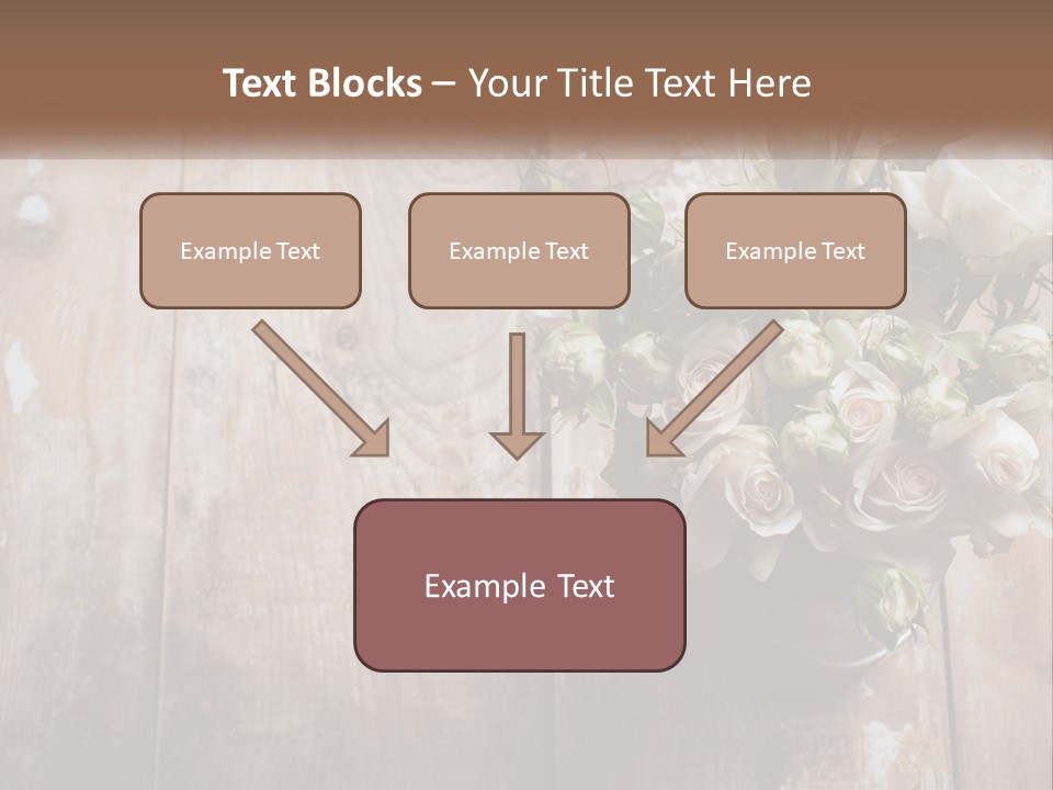 Sea Coastal Single PowerPoint Template