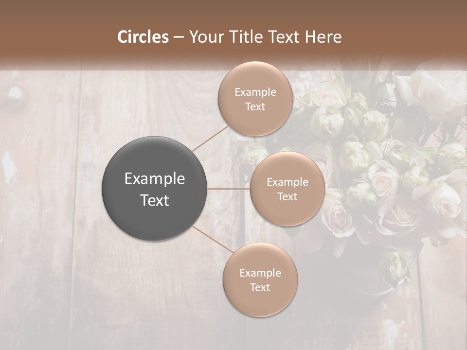 Sea Coastal Single PowerPoint Template