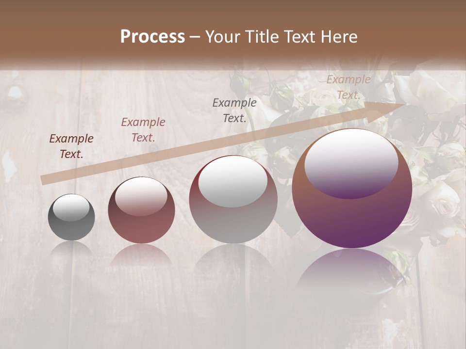 Sea Coastal Single PowerPoint Template