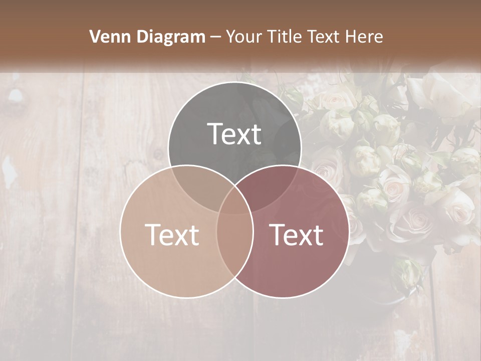 Sea Coastal Single PowerPoint Template