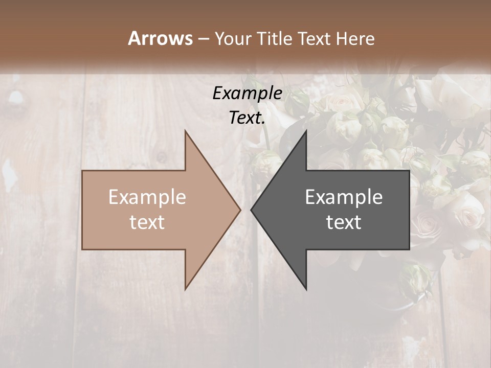 Sea Coastal Single PowerPoint Template
