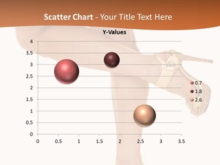 Sunset Family White PowerPoint Template