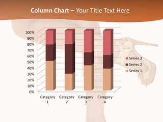 Sunset Family White PowerPoint Template