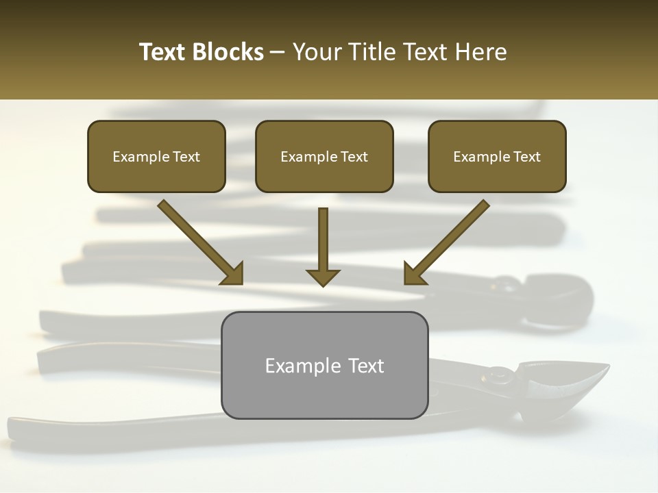 Wave Daughter Senior PowerPoint Template