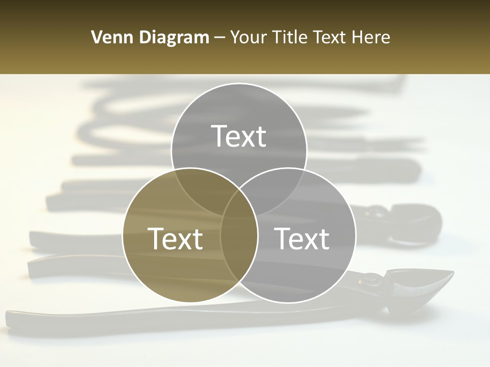 Wave Daughter Senior PowerPoint Template