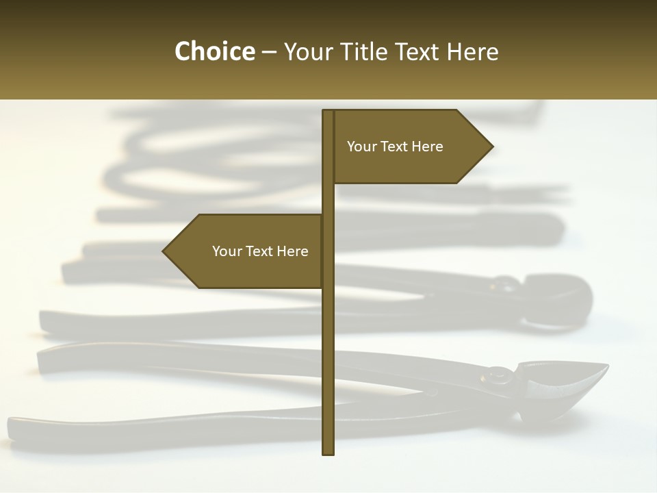 Wave Daughter Senior PowerPoint Template