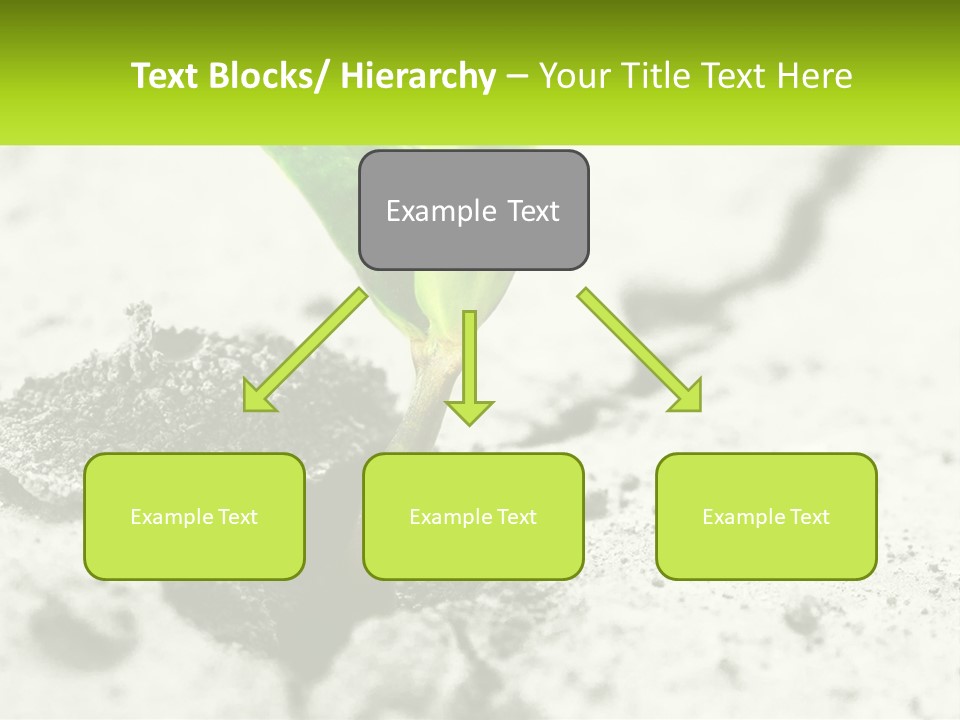 Peaceful Wave Lifestyle PowerPoint Template