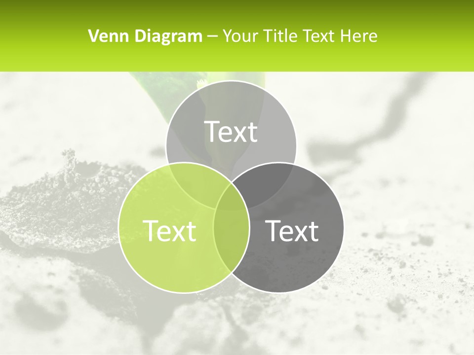 Peaceful Wave Lifestyle PowerPoint Template