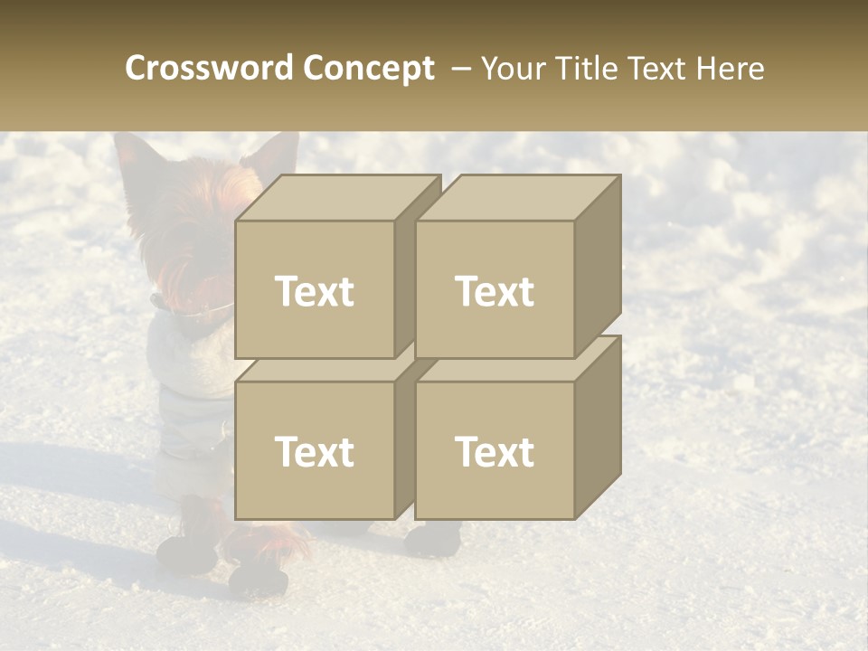 Wave Coast Sand PowerPoint Template