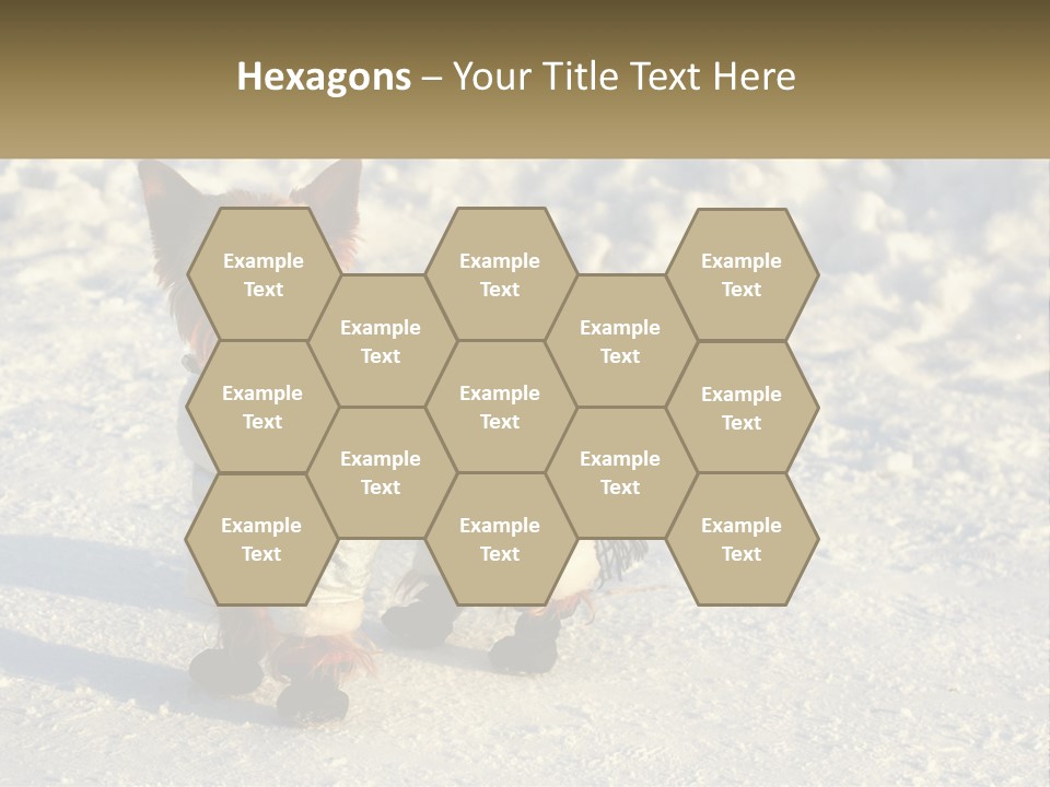 Wave Coast Sand PowerPoint Template