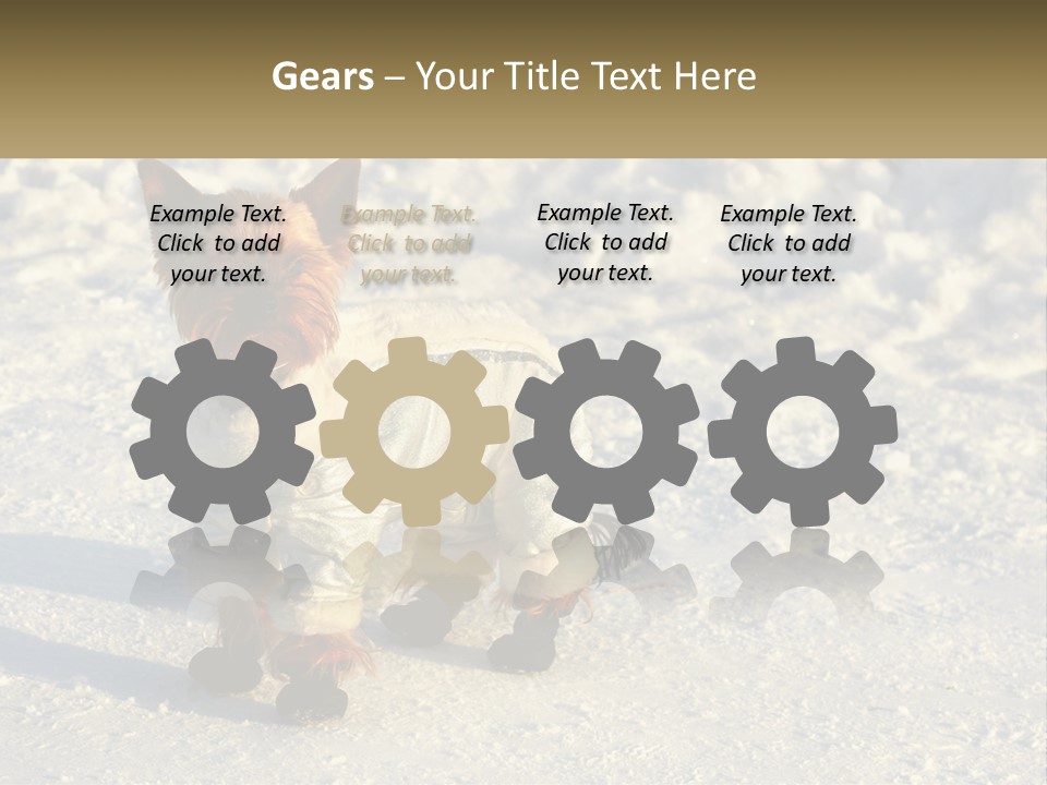 Wave Coast Sand PowerPoint Template