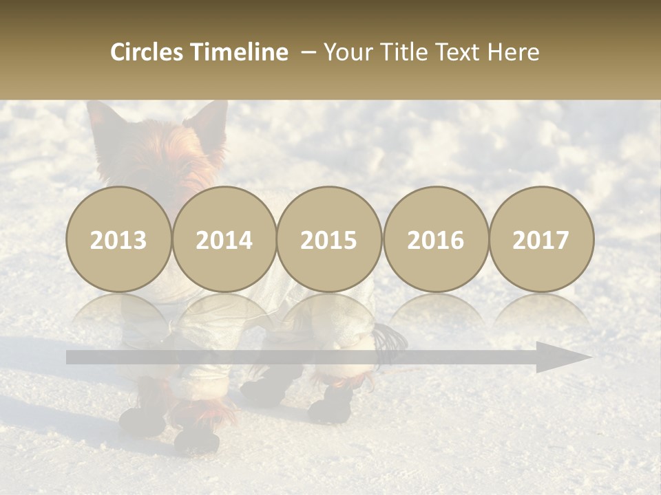 Wave Coast Sand PowerPoint Template